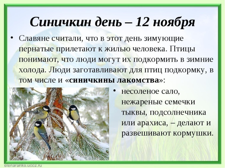 Синичкин день.